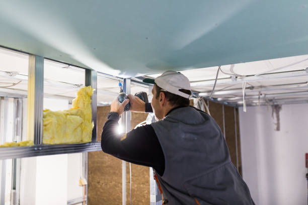 Best Residential Insulation in Roseville, OH